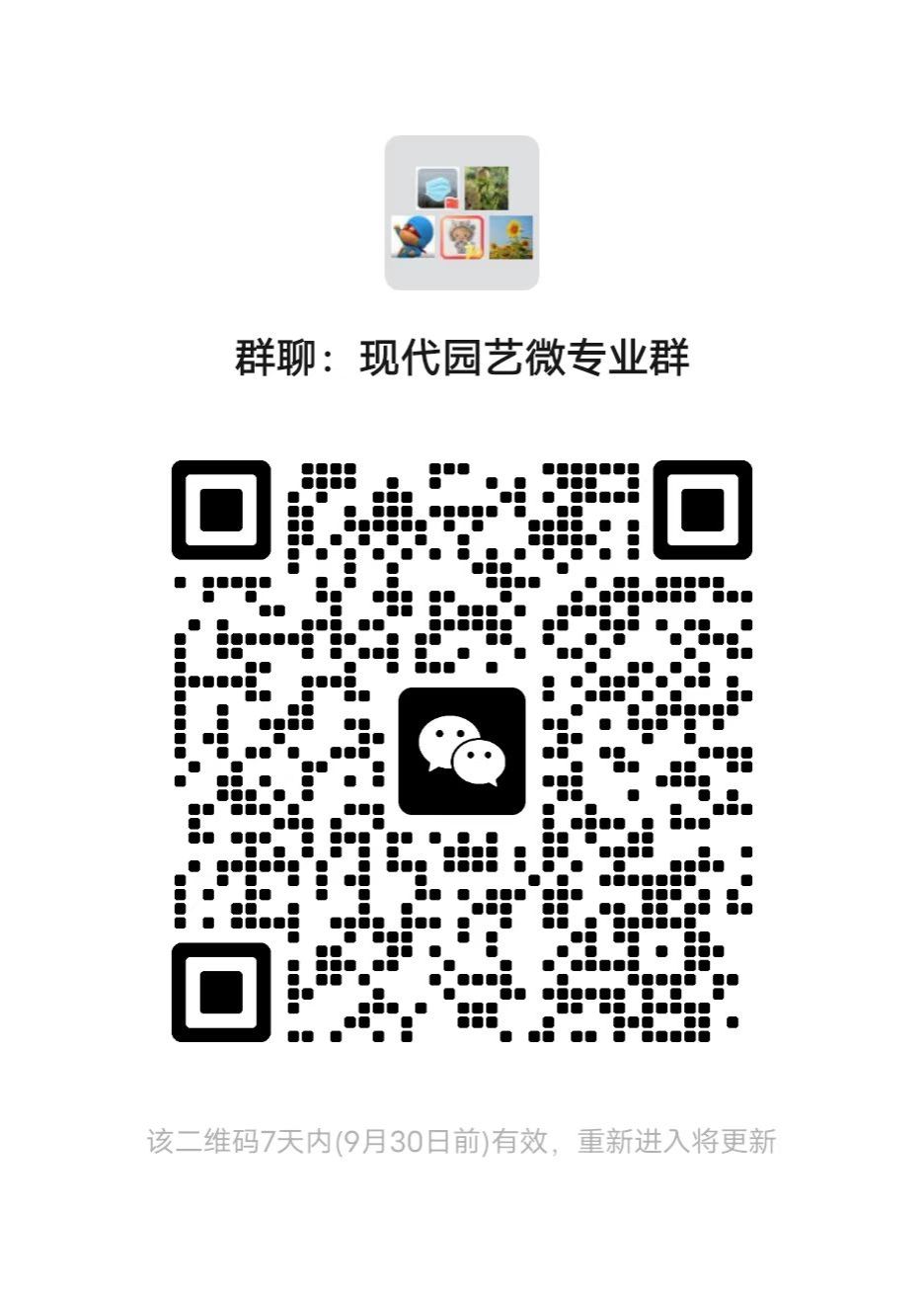 QR 代码描述已自动生成